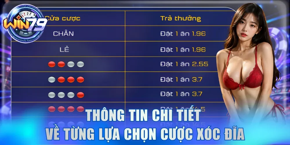 Thông tin chi tiết về từng lựa chọn cược Xóc Đĩa
