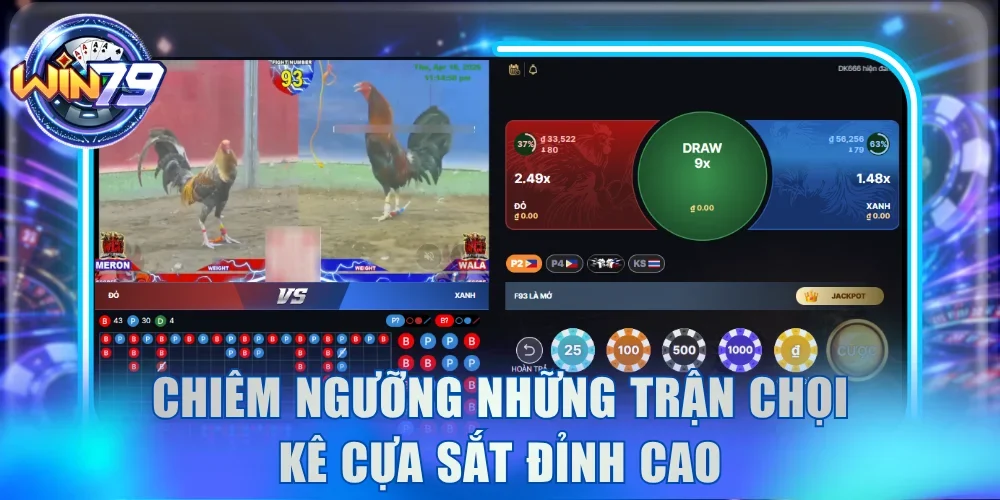 Đá Gà Campuchia - Thị Trường Tỷ Đô Hàng Đầu Đông Nam Á 4 Chiêm ngưỡng những trận chọi kê cựa sắt đỉnh cao