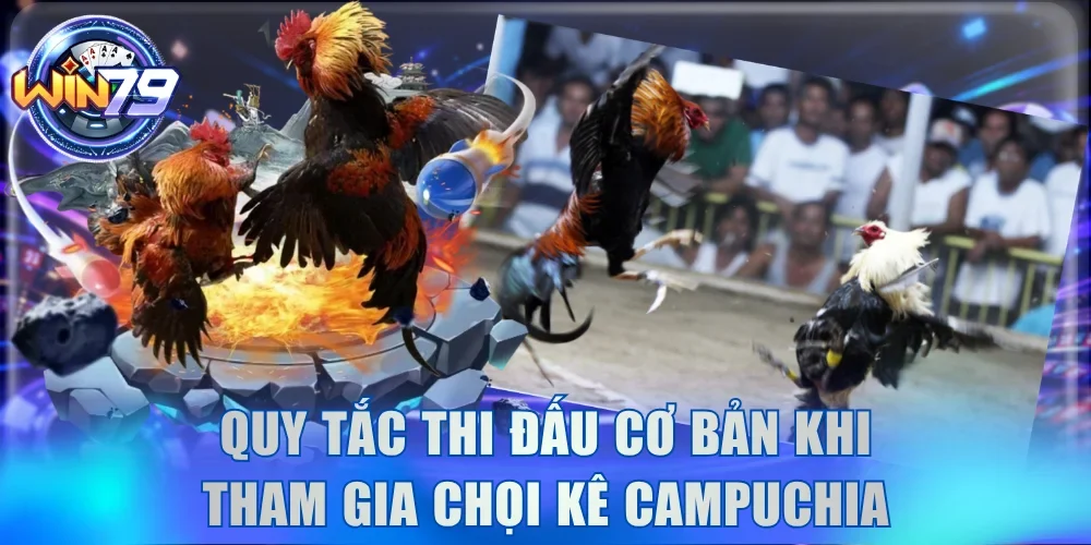 Đá Gà Campuchia - Thị Trường Tỷ Đô Hàng Đầu Đông Nam Á 3 Quy tắc thi đấu cơ bản khi tham gia chọi kê Campuchia